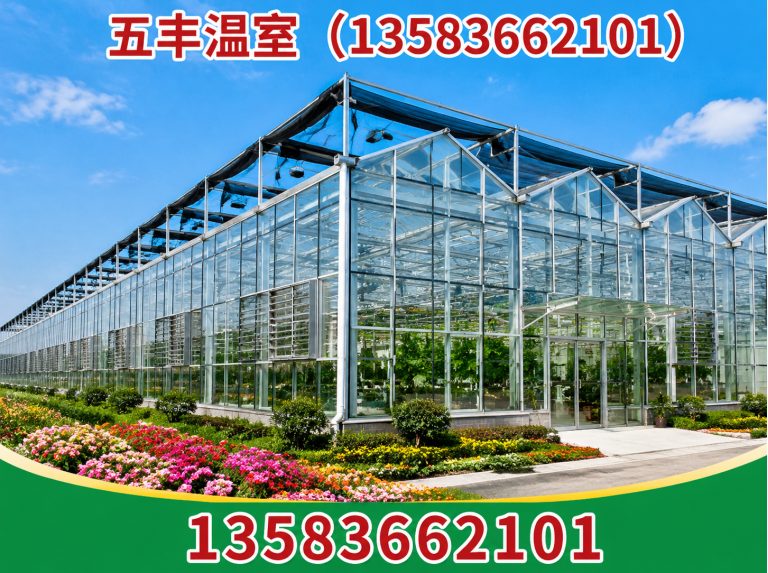 潍坊滨海经济技术开发区大棚建设展示图