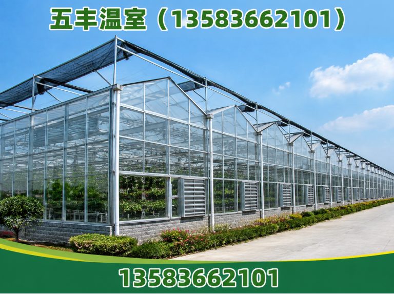 潍坊滨海经济技术开发区温室工程展示图