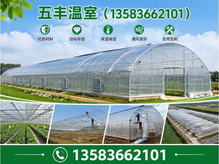 潍坊滨海经济技术开发区玻璃温室展示图